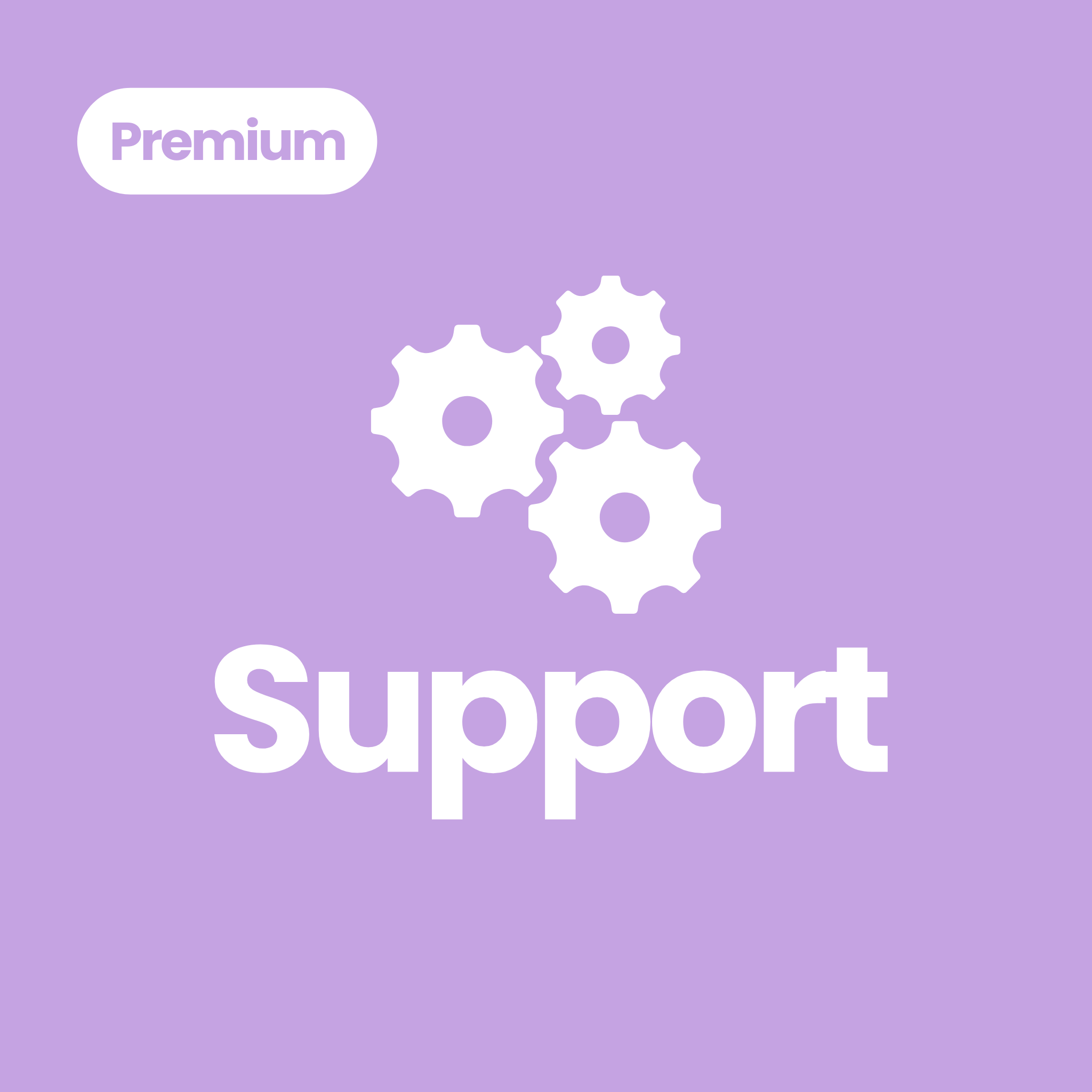 Support Premium-Paket (80 Stunden)