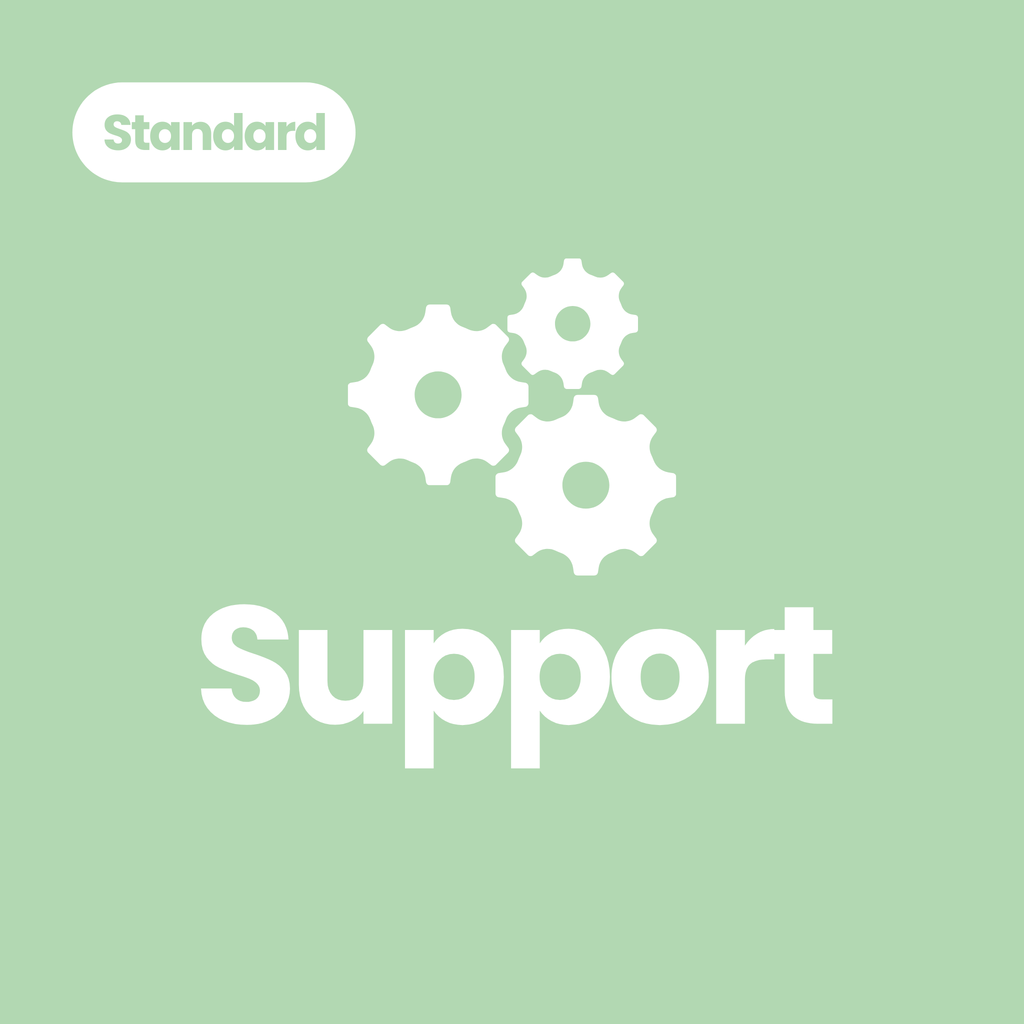 Support Standard-Paket (20 Stunden)